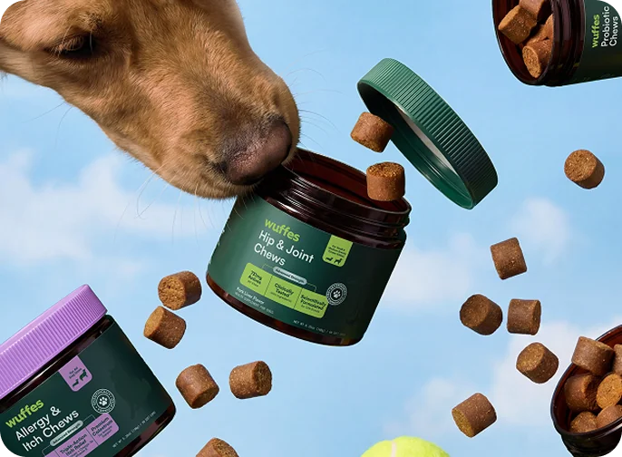 Wuffes supplements